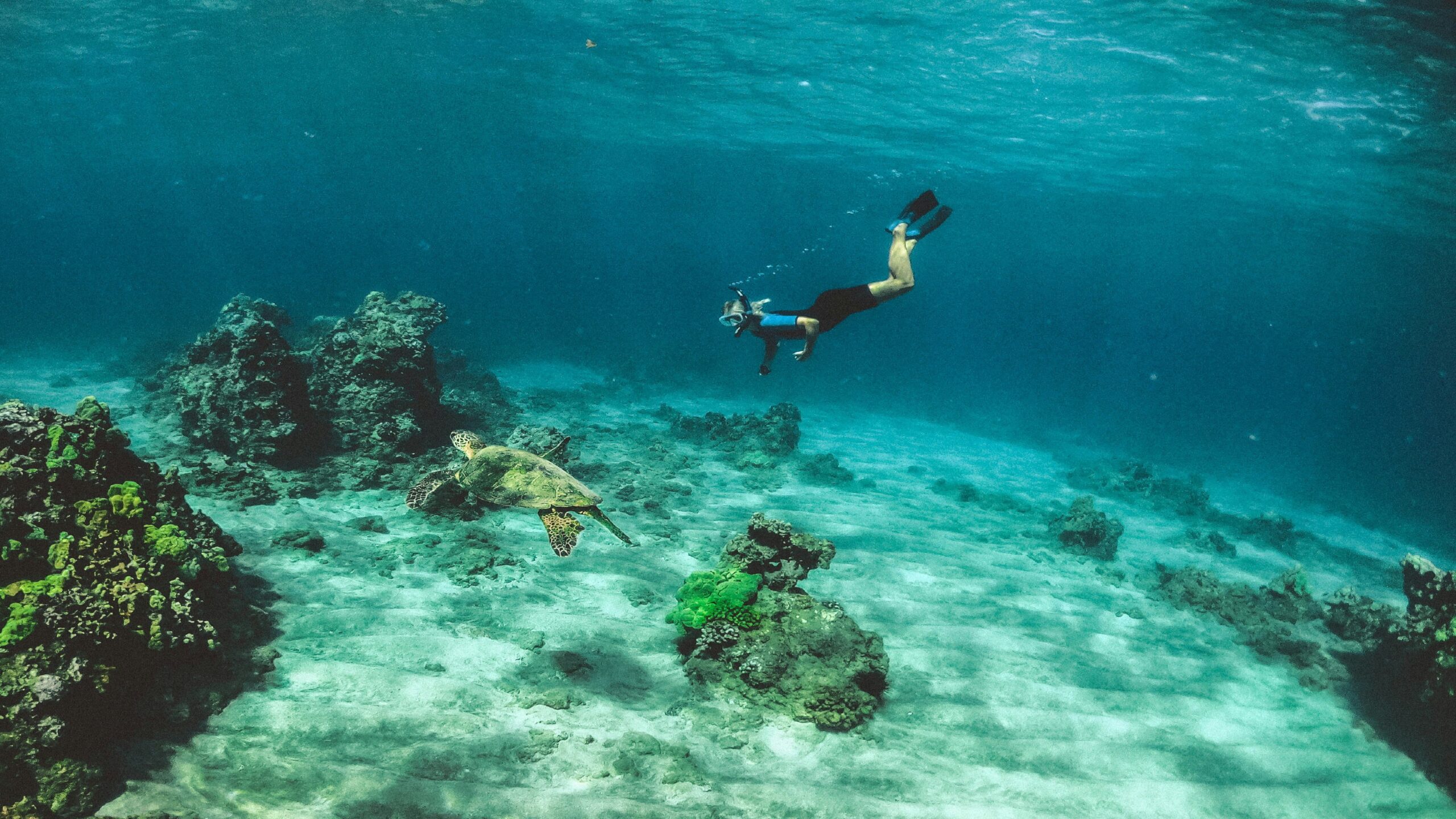 suba diving1